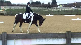 British Dressage Novice 24 Billie Jean [upl. by Miarhpe509]