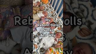 What are my reborn dolls names reborns reborndolls rebornbaby realisticart art dolls hobby [upl. by Aninaig191]