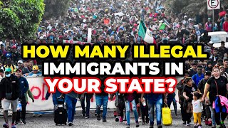 Where Illegal Immigrants in the USA Are Coming From [upl. by Esylle]