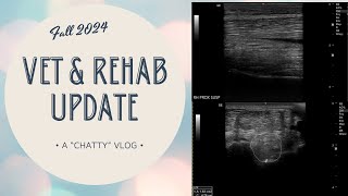 Vet and Rehab Update  Fall 2024 Vlog amp Chat \\ [upl. by Edgerton952]