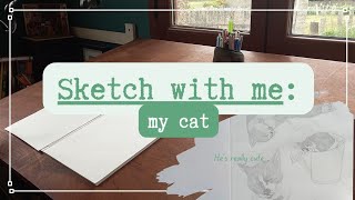 How to Sketch Cats  Sketch With Me My cat [upl. by Netsrejk]