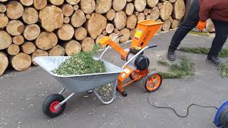 Compact 4HP Electric Wood Chipper  Garden Shredder FM4DDE [upl. by Doerrer524]