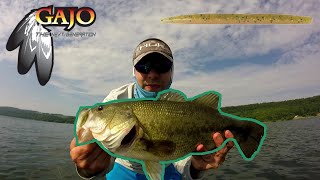 Gajo Stick Bait Crushing Bass On Otisco Lake [upl. by Egiaf]