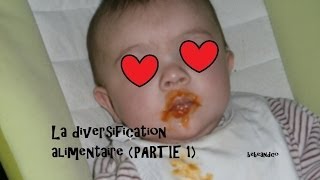 Diversification alimentaire partie 1 [upl. by Avery]