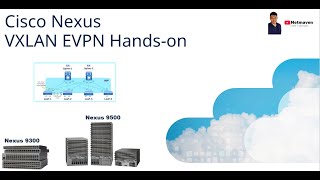 3 Nexus VXLAN EVPN CLI Handson  vPC and Host Connection [upl. by Adne]