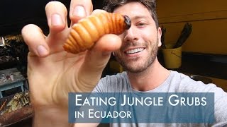 Eating Giant Beetle Grubs in Ecuador [upl. by Ehcrop]