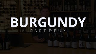 BURGUNDY wine region  Beaujolais Maconnais Chablis [upl. by Tnomad]