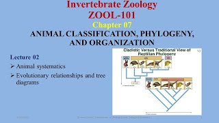 Animal Systematics monophyletic paraphyletic polyphyletic symplesiomorphies synapomorphies [upl. by Girish]