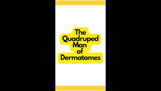 The Quadruped Man of Dermatomes Explained  Physical Therapy Mnemonics [upl. by Letsou]