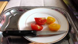 Tasting Tomato varieties Golden Sunrise amp Stupice [upl. by Jahn]