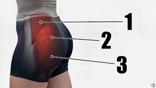 How To Grow Your Glutes 5 BEST Exercises  Gluteal Amnesia Myth Busting [upl. by Hakceber462]