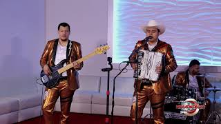 Los Caimanes De Sinaloa 3x5 Inedita En Vivo Corridos 2019 [upl. by Eecak659]