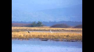 Lake Earl Winter Paddling [upl. by Trescha]