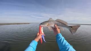 Lighthouse Lakes continues to produce  Aransas Pass TX [upl. by Nebra]