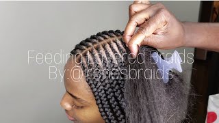 Feed in Braids  Layered Braids  Irenesbraids [upl. by Bohlen860]