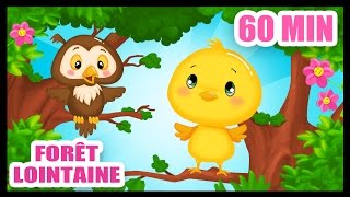 Dans la forêt lointaine  60 min de comptines pour bébés  Titounis [upl. by Aneram324]