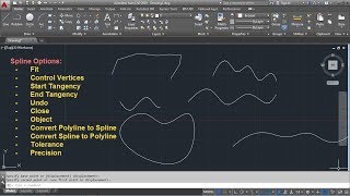 AutoCAD Spline Command Tutorial Complete  Fit Control Points Convert to Polyline Precision [upl. by Mahtal]