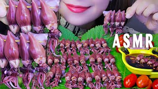 ASMR MỰC ĐÓM HẤP  Steamed firefly squids EATING SOUNDS  LINHASMR [upl. by Willabella]