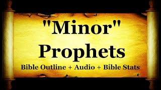 The Holy Bible  Minor Prophets  Hosea Joel Amos Jonah Micah Zechariah Malachi [upl. by Edecrem201]