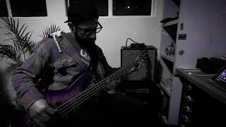 TOOL  Ænema Bass Cover [upl. by Adnawak]