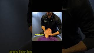 Posterior Inferior Medial Glide Cervical Radiculopathy Manual Therapy [upl. by Dorthy]