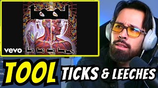 TOOL  TICKS amp LEECHES REACTION [upl. by Raji]