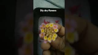 Diy making dry flowers in silica gel shorts resinart trending virel [upl. by James]