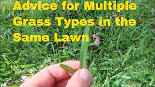 How to Handle Multiple Grass Types in the Same Lawn [upl. by Nyvlem]