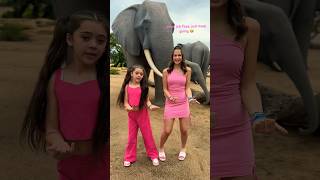 IS THAT AN ELEPHANT 🐘shorts shortsfeed shortsviral [upl. by Proudfoot]