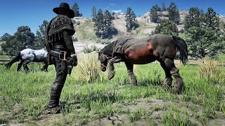 RDR2 Most wanted horse in the game [upl. by Elicul]