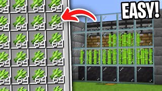 Sugarcane Farm Minecraft 121 JAVA amp BEDROCK [upl. by Calondra]