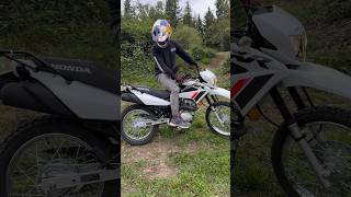 New XR150L Start Up and Walk Around [upl. by Jocelin522]