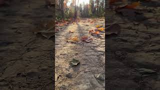 Autumn Hike at Cheltenham Badlands Ontario [upl. by Aja]