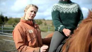 Íshestar  How to ride an Icelandic horse [upl. by Ames811]