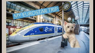 How I got to Travel on Eurostar Train with a Dog [upl. by Adelle]