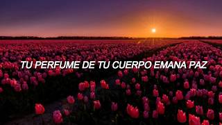 « enjambre  tulipanes » letra [upl. by Eltrym]