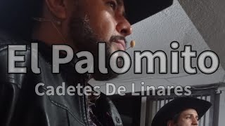 El Palomito  Grupo Infierno Norte [upl. by Michi]