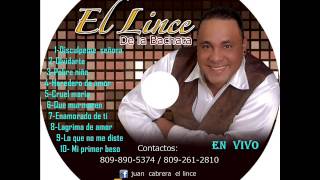 Disculpeme SeñoraEL LINCE DE LA BACHATA  en vivo [upl. by Aelam236]