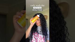 Step by step curly routine for BEGINNERS curlyhairproducts curlyhairroutine curlyhaircare [upl. by Abbie]