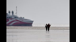 Vadehavet The Wadden Sea [upl. by Ecirehs]