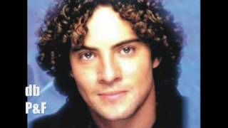 DAVID BISBAL BULERIA live audio [upl. by Teiv]