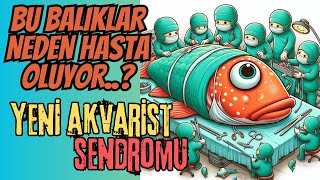 BALIKLARI HASTALIKLARDAN KORUMAK ve YENİ AKVARİST SENDROMU [upl. by Jammie]