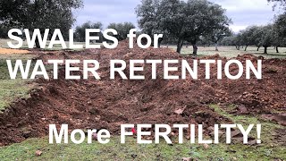 SWALES for WATER RETENTION more FERTILITY [upl. by Sihon]