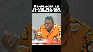 NKalala Omotunde explique que franccfa monnaie eco en afrique est colonialisme exploitation [upl. by Ellehcyt]