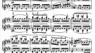 Ashkenazy plays Beethoven Sonata No27 in E minor Op90 complete [upl. by Belldame49]