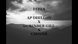 Feels  AP Dhillon X Gurinder Gill X Gminxr  lyrics [upl. by Yslehc]