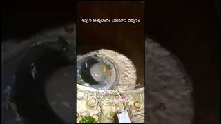 Koti SamaVaram 🙏youtubeshorts shiva gokarna mahadev mahabaleshwar bhakti viralshort [upl. by Elocim]