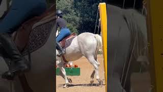 Pony jumping riding lesson imaginedragons [upl. by Inatsed]