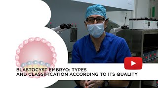 Blastocyst embryo What it is advantages types and classification according to its quality [upl. by Dionne]