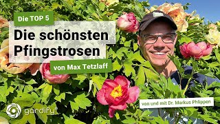 Edel und begehrt Die schönsten Pfingstrosen von Max Tetzlaff  unsere Top 5  gardify Tipps [upl. by Suirtemid]